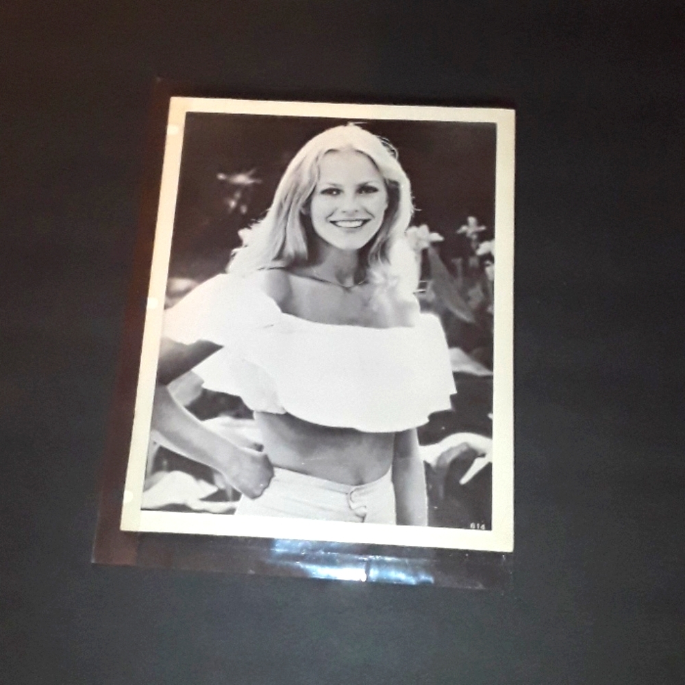 c VTG ACTRESS CHERYL LADD SZ.  8X10 PRESS PHOTO